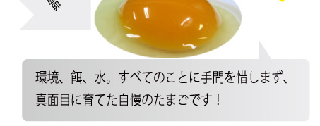 自慢のたまご