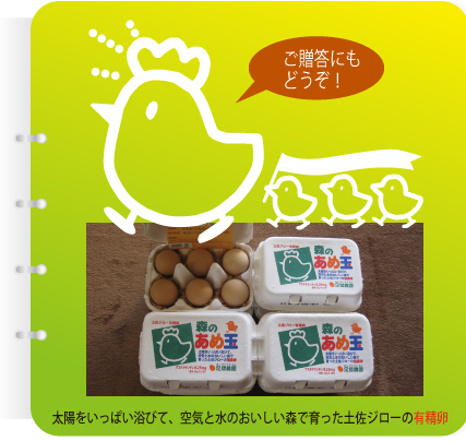 ご贈答にもどうぞ